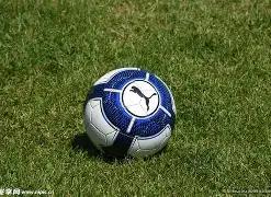 西部战报出,快船输给雷,霆排名第八,开宝体育,开宝体育官网,开宝体育官方,开宝体育下载