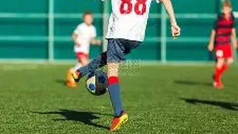 开宝体育 产品 112115 ddl